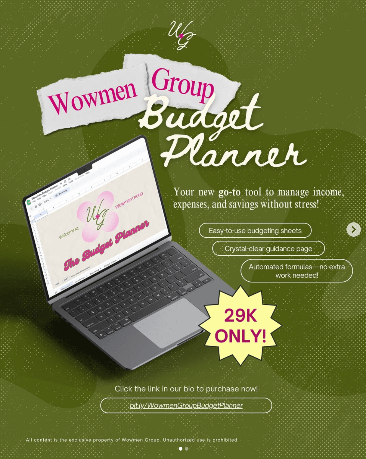 wowmen group budget planner